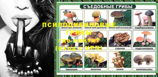дживик Белокуриха