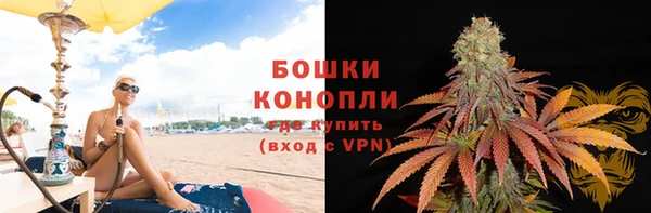 ECSTASY Богданович