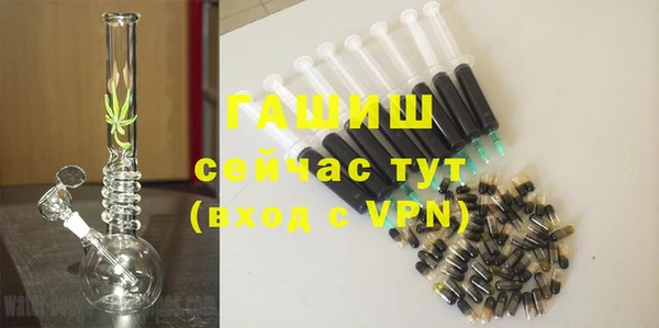 ECSTASY Богданович