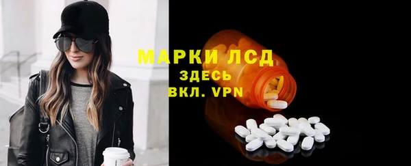 ECSTASY Богданович