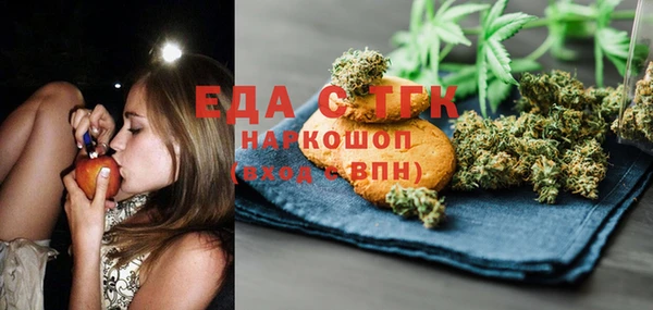 ECSTASY Богданович