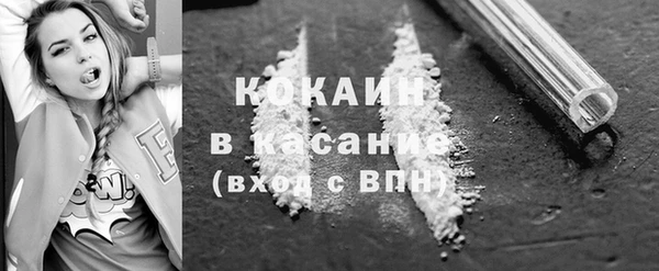ECSTASY Богданович