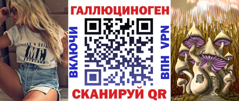 Галлюциногенные грибы Cubensis Мышкин